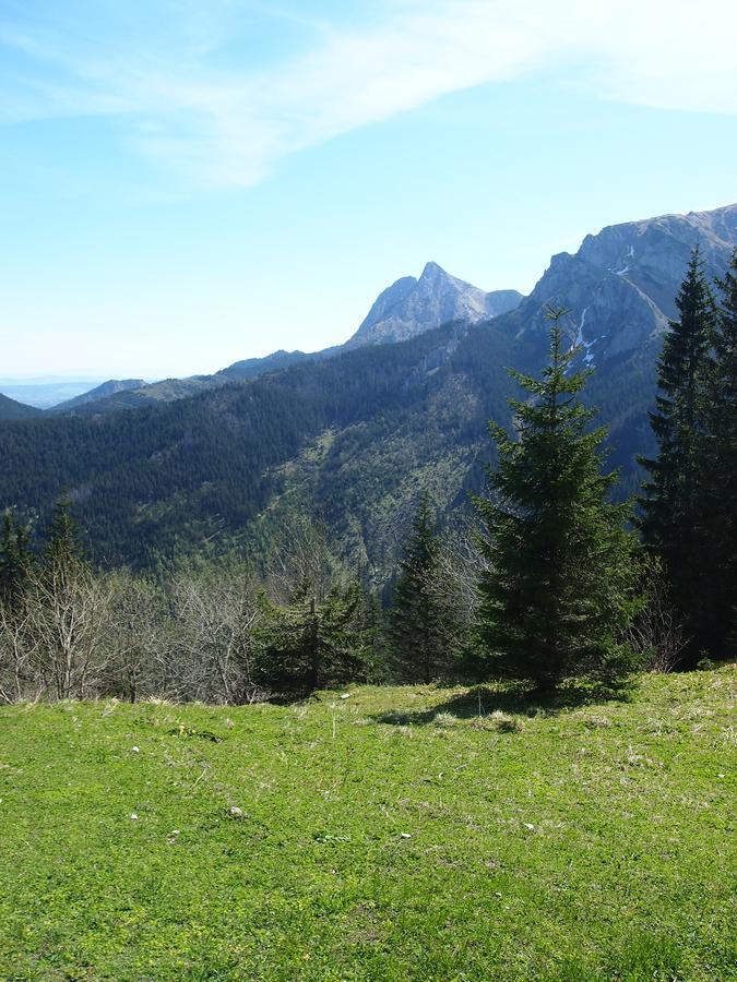 Vila Dziko Hanka Kościelisko Exteriér fotografie